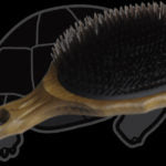 Load image into Gallery viewer, Y.S. Park 80CS3 Tortoise Styler