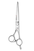 Load image into Gallery viewer, Shinkansen