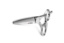 Load image into Gallery viewer, Shinkansen