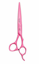 Load image into Gallery viewer, SCHOREM MASTER